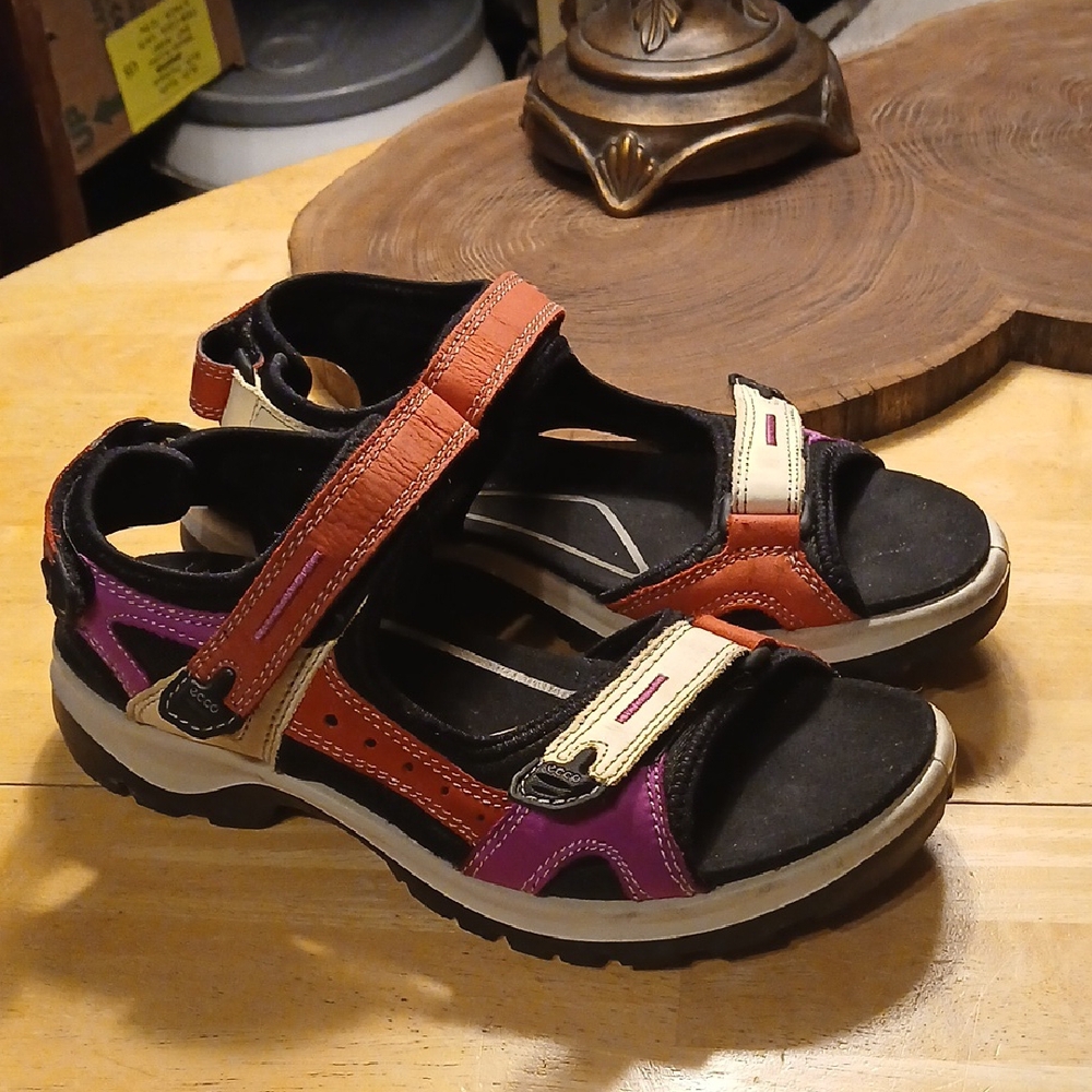 Ecco Hiking Sandals